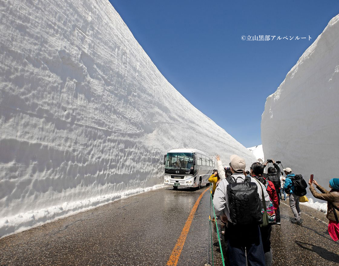 立山黒部アルペンルートの雪の大谷