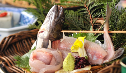 Iwana trout sashimi　￥2,000 (excluding tax)